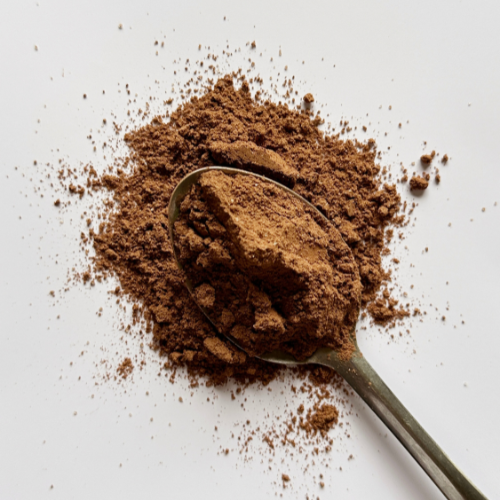 cacao in lingotti a Bologna